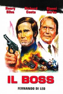 دانلود دوبله فارسی فیلم The Boss 1973