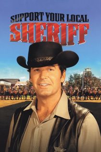 دانلود دوبله فارسی فیلم Support Your Local Sheriff! 1969