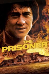 دانلود دوبله فارسی فیلم The Prisoner 1990
