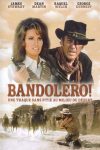 دانلود دوبله فارسی فیلم Bandolero! 1968