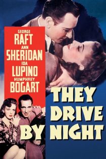 دانلود دوبله فارسی فیلم They Drive by Night 1940