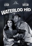 دانلود دوبله فارسی فیلم Waterloo Bridge 1940