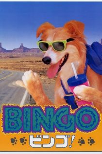 دانلود دوبله فارسی فیلم Bingo 1991