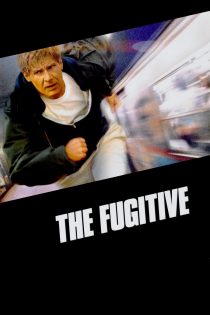 دانلود دوبله فارسی فیلم The Fugitive 1993