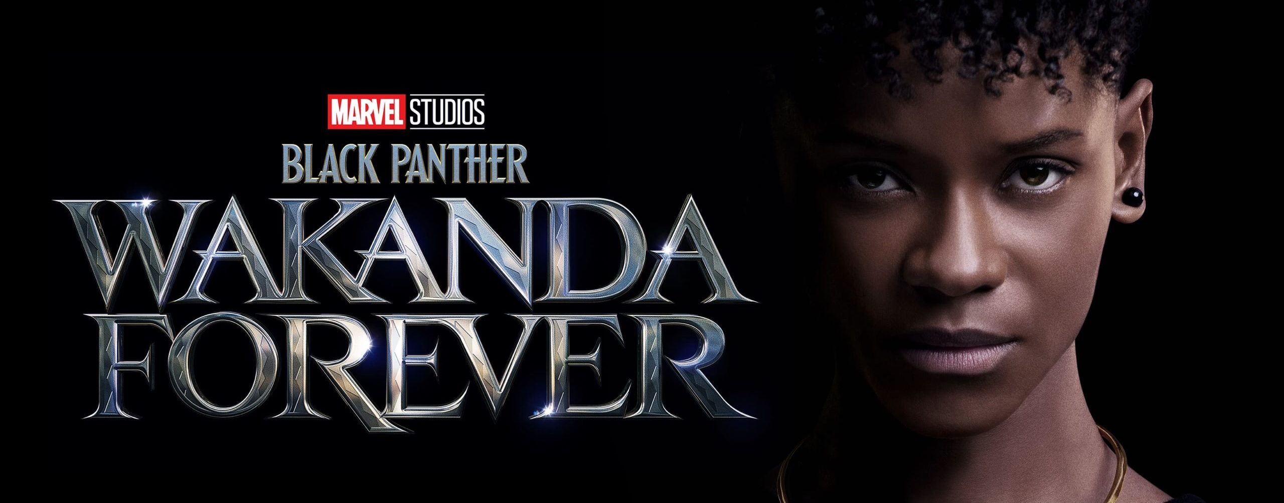دانلود دوبله فارسی فیلم Black Panther: Wakanda Forever 2022