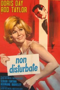 دانلود دوبله فارسی فیلم Do Not Disturb 1965