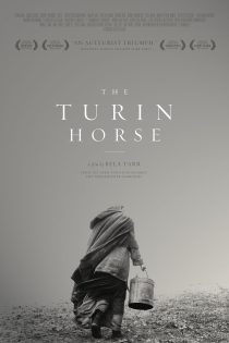 دانلود دوبله فارسی فیلم The Turin Horse 2011