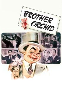 دانلود فیلم Brother Orchid 1940