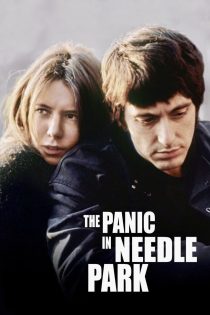 دانلود فیلم The Panic in Needle Park 1971